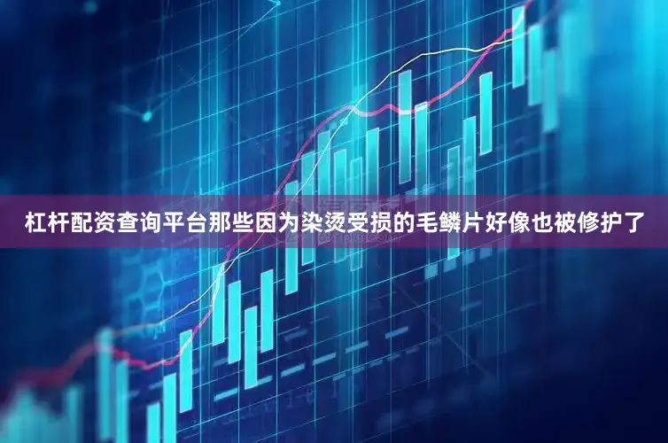 杠杆配资查询平台那些因为染烫受损的毛鳞片好像也被修护了