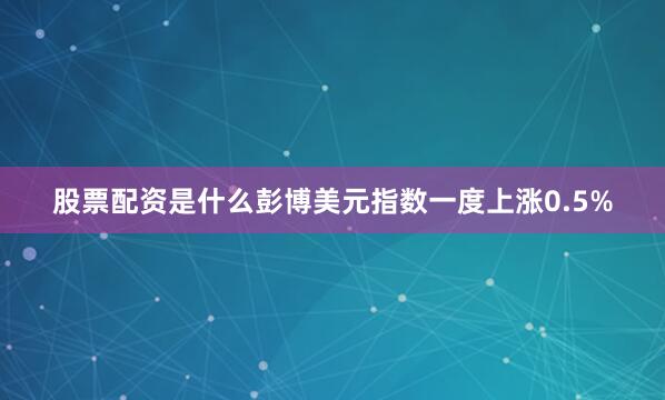 股票配资是什么彭博美元指数一度上涨0.5%
