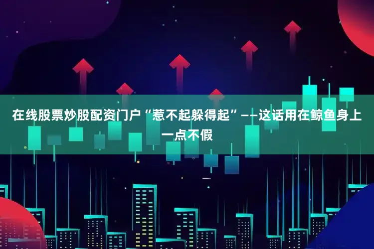 在线股票炒股配资门户“惹不起躲得起”——这话用在鲸鱼身上一点不假